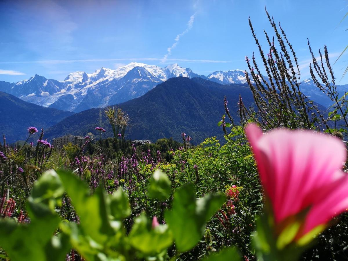 Апартаменти Duo Des Alpages Vue Exceptionnelle Sur Le Mont Blc Сен-Жерве-ле-Бен Екстер'єр фото