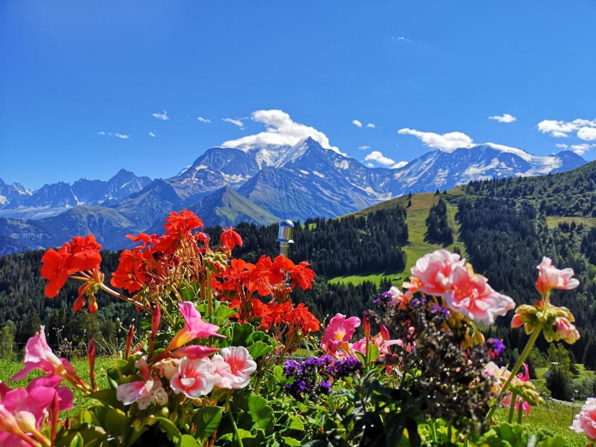 Апартаменти Duo Des Alpages Vue Exceptionnelle Sur Le Mont Blc Сен-Жерве-ле-Бен Екстер'єр фото