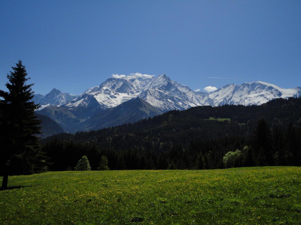 Апартаменти Duo Des Alpages Vue Exceptionnelle Sur Le Mont Blc Сен-Жерве-ле-Бен Екстер'єр фото